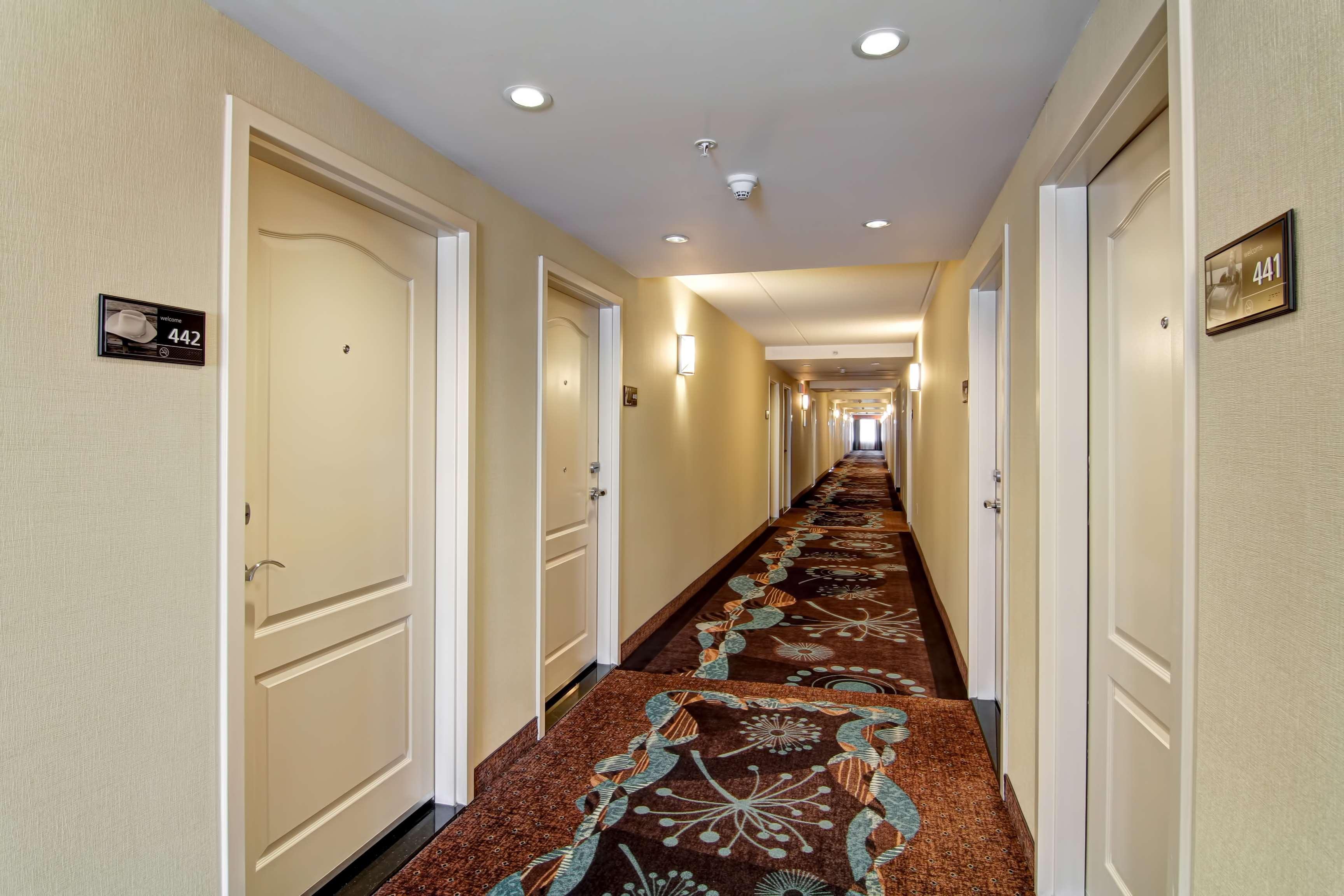 Hampton Inn By Hilton Toronto Airport Corporate Centre Екстериор снимка